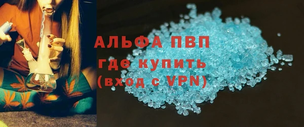 прущие грибы Абаза