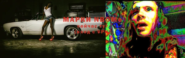 СК Арсеньев