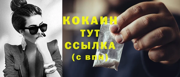 прущие грибы Абаза