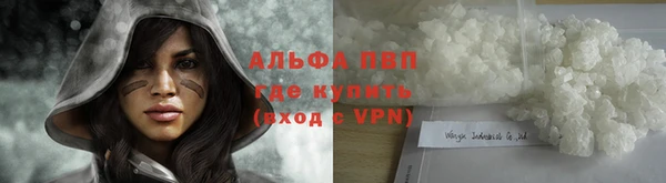 винт Алзамай