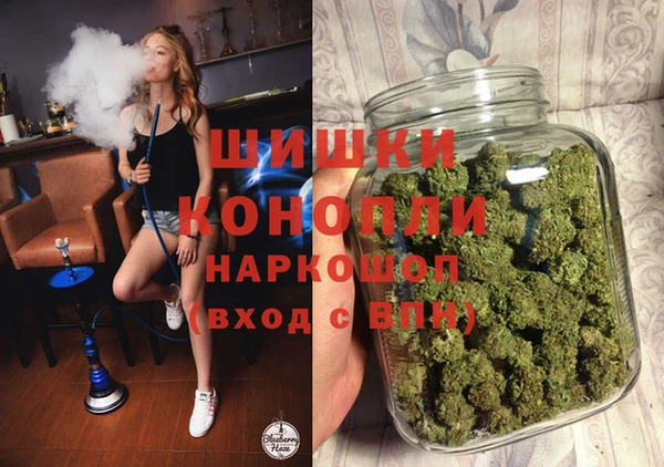 прущие грибы Абаза