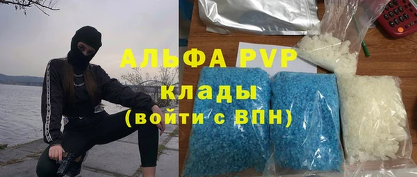 прущие грибы Абаза
