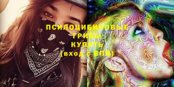 прущие грибы Абаза