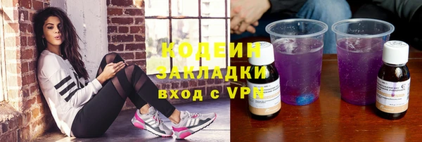 прущие грибы Абаза