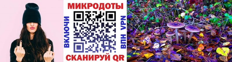 где найти наркотики  Новомичуринск  Галлюциногенные грибы Psilocybe 